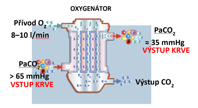 Oxygenerátor